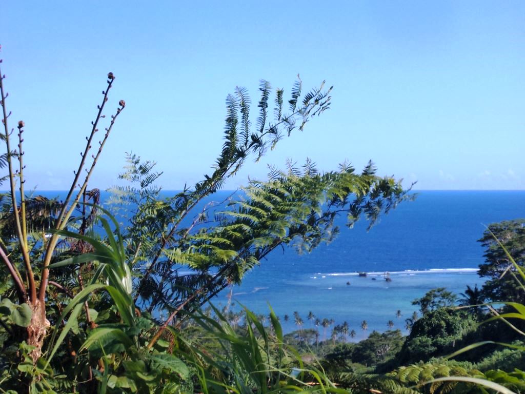 Property SAVUSAVU FIJI SouthPacificRealEstate